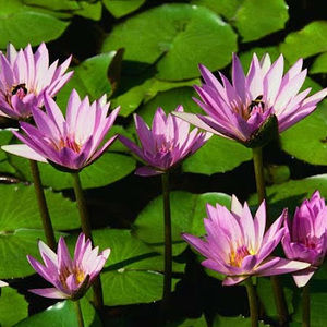 Meet your Posher, Ciara